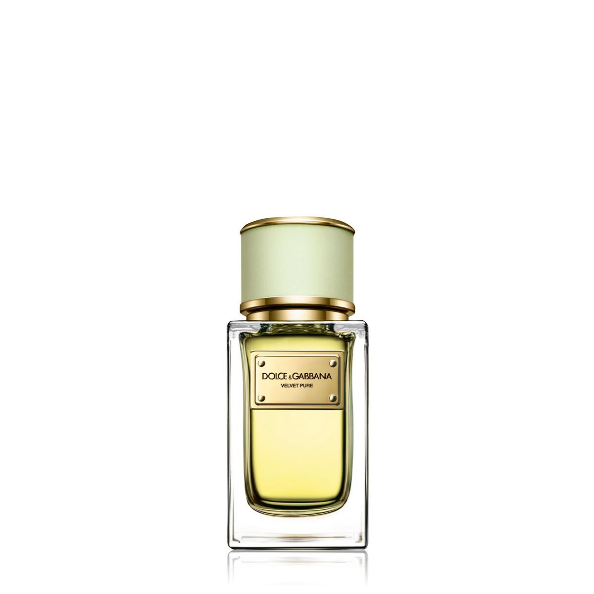 Dolce gabbana store velvet pure
